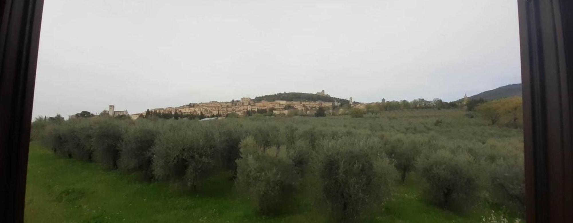 Appartamenti Cardinali Assisi Exterior photo